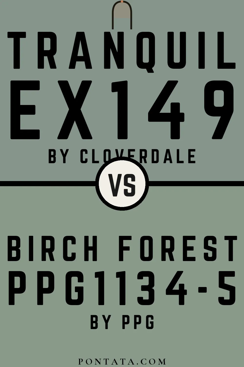 Tranquil vs Birch Forest