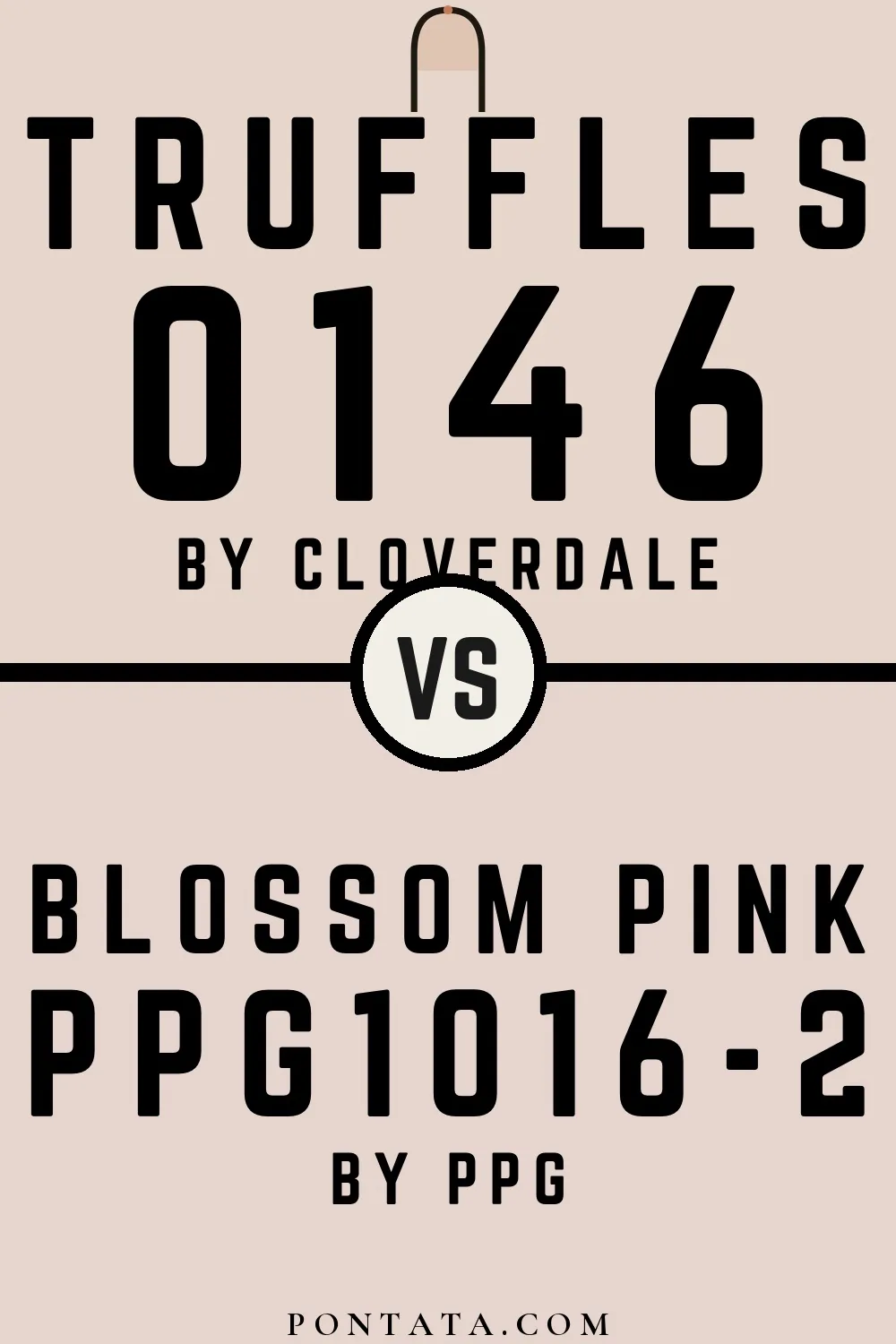 Truffles vs Blossom Pink