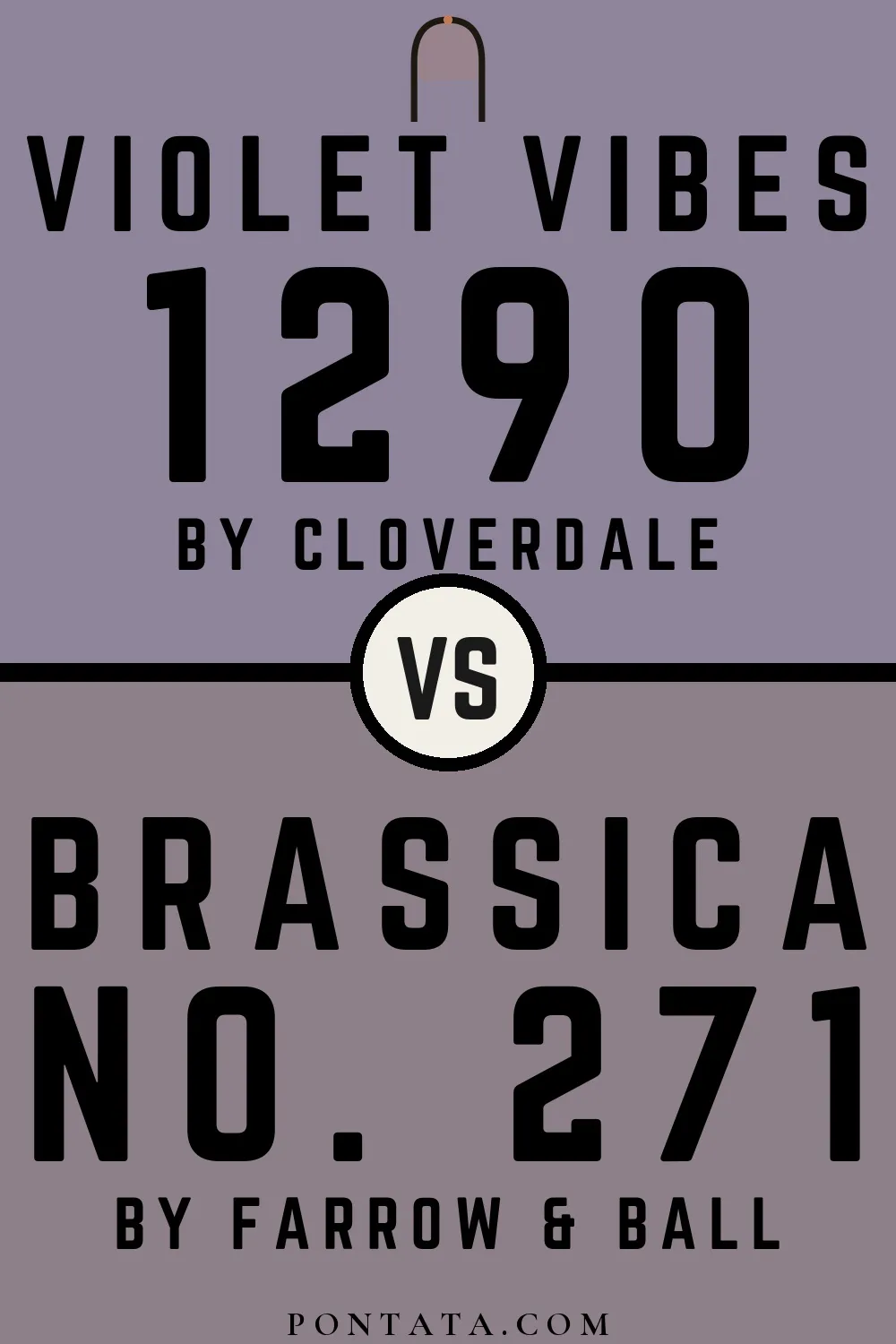 Violet Vibes vs Brassica
