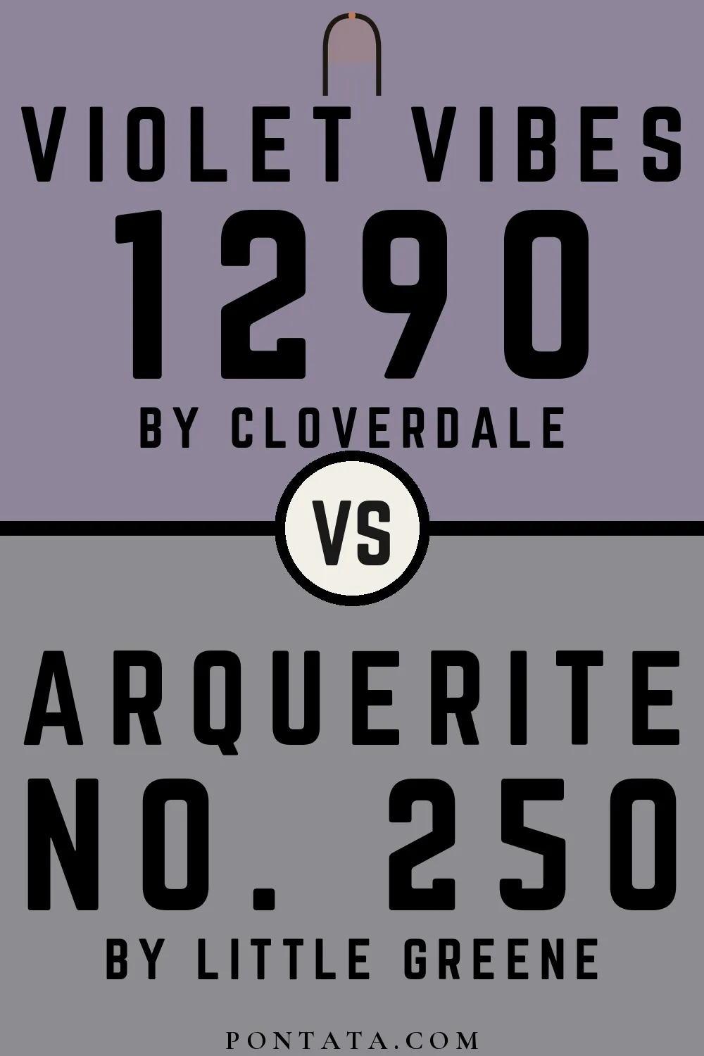 Violet Vibes vs Arquerite
