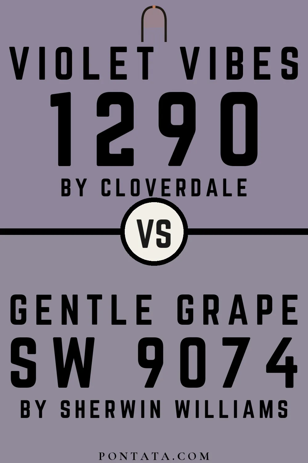 Violet Vibes vs Gentle Grape