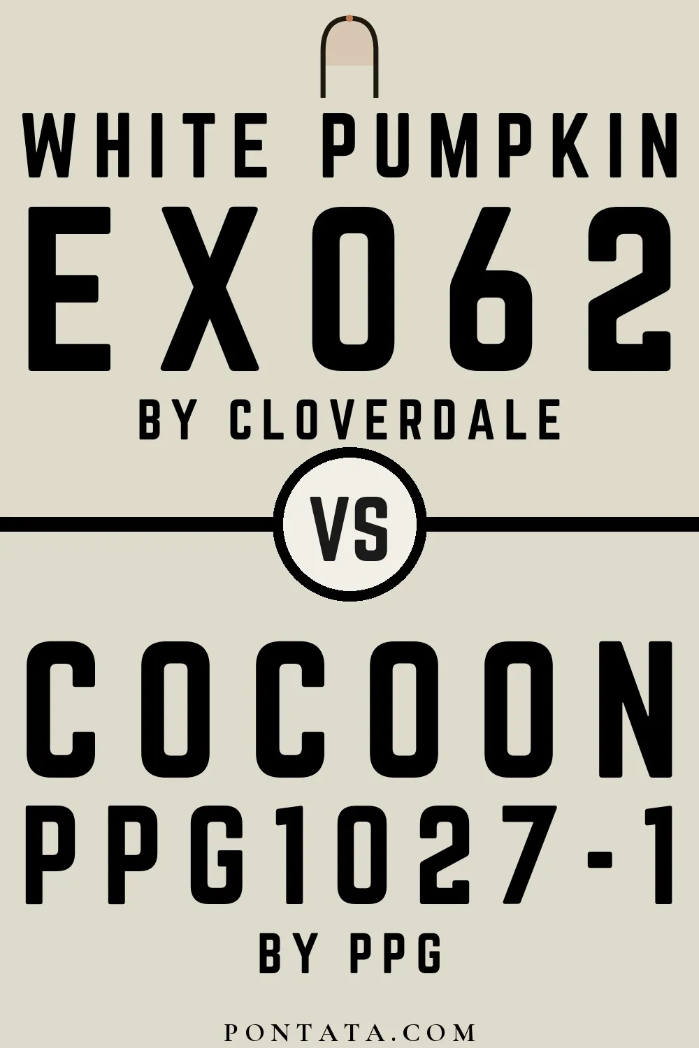 White Pumpkin vs Cocoon