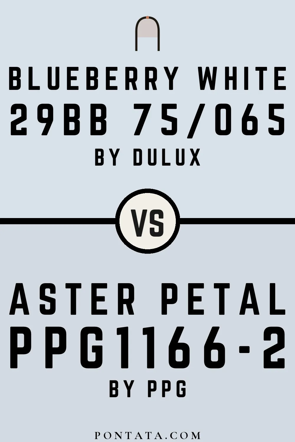 Blueberry White vs Aster Petal