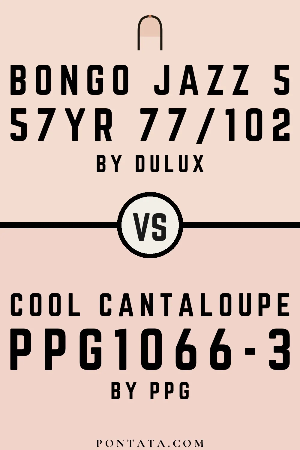 Bongo Jazz 5 vs Cool Cantaloupe