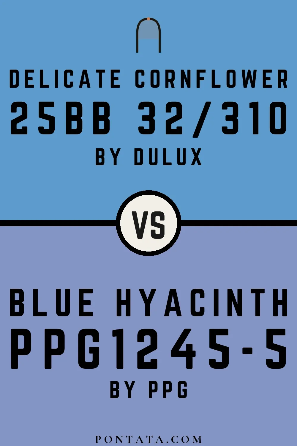 Delicate Cornflower vs Blue Hyacinth