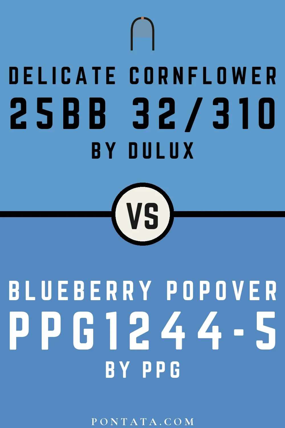 Delicate Cornflower vs Blueberry Popover