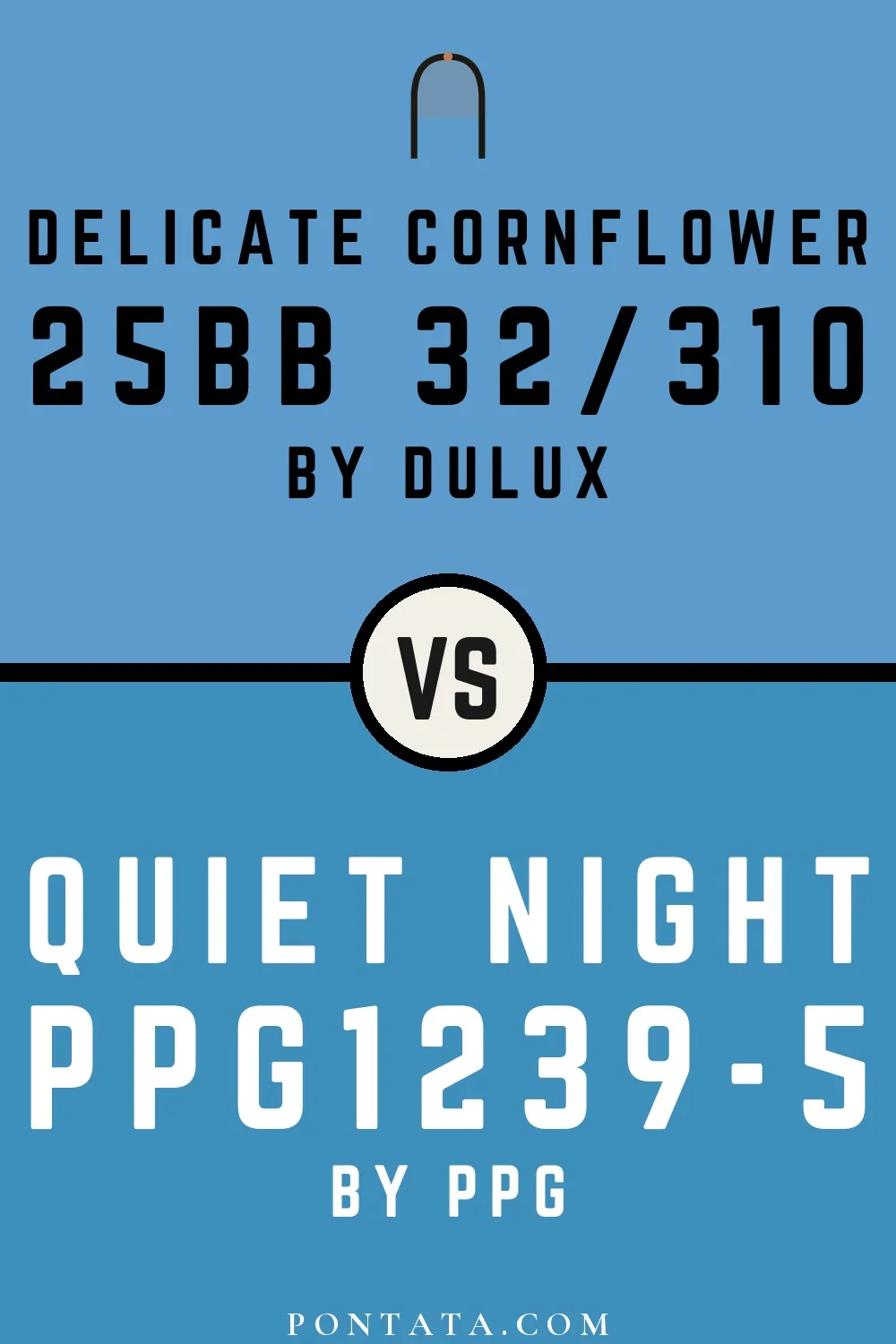 Delicate Cornflower vs Quiet Night