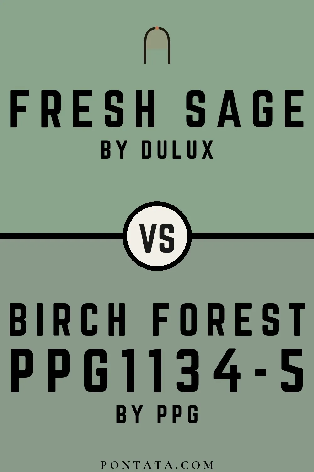 Fresh Sage vs Birch Forest