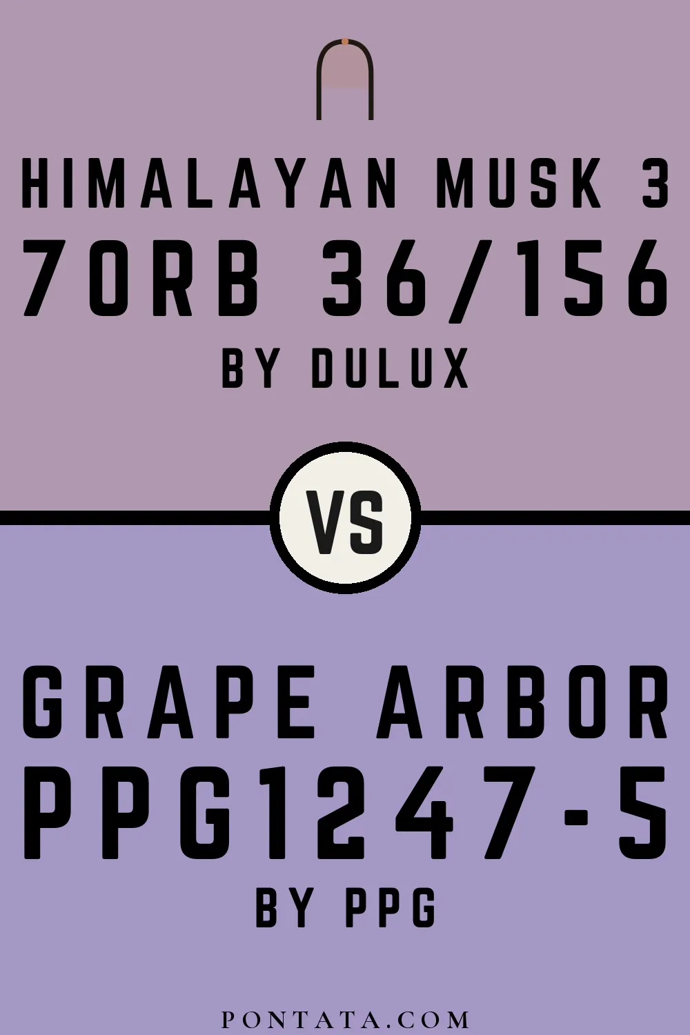 Himalayan Musk 3 vs Grape Arbor