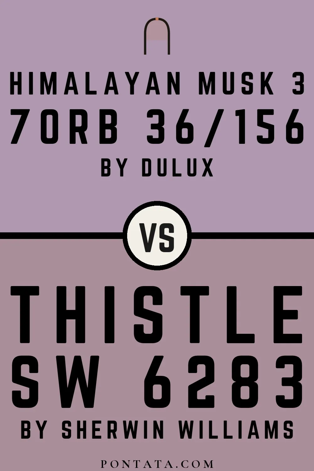 Himalayan Musk 3 vs Thistle
