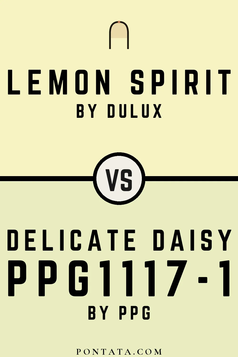Lemon Spirit vs Delicate Daisy