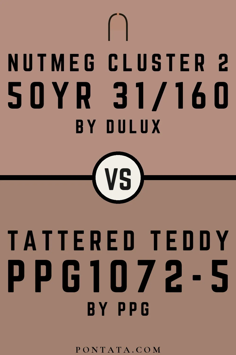 Nutmeg Cluster 2 vs Tattered Teddy
