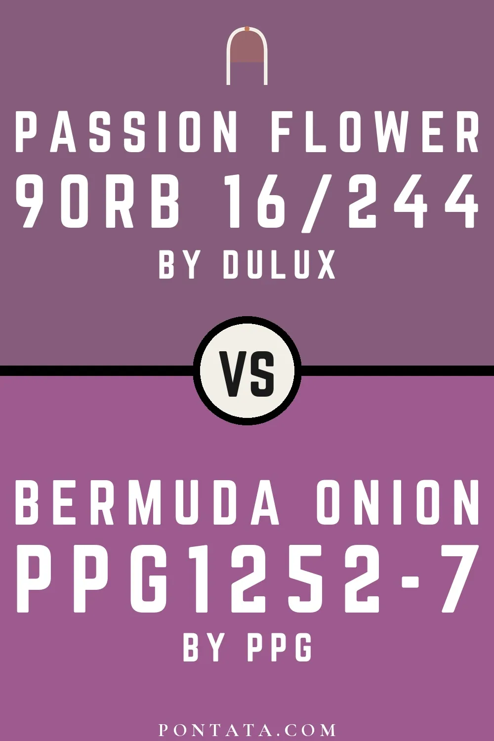Passion Flower vs Bermuda Onion