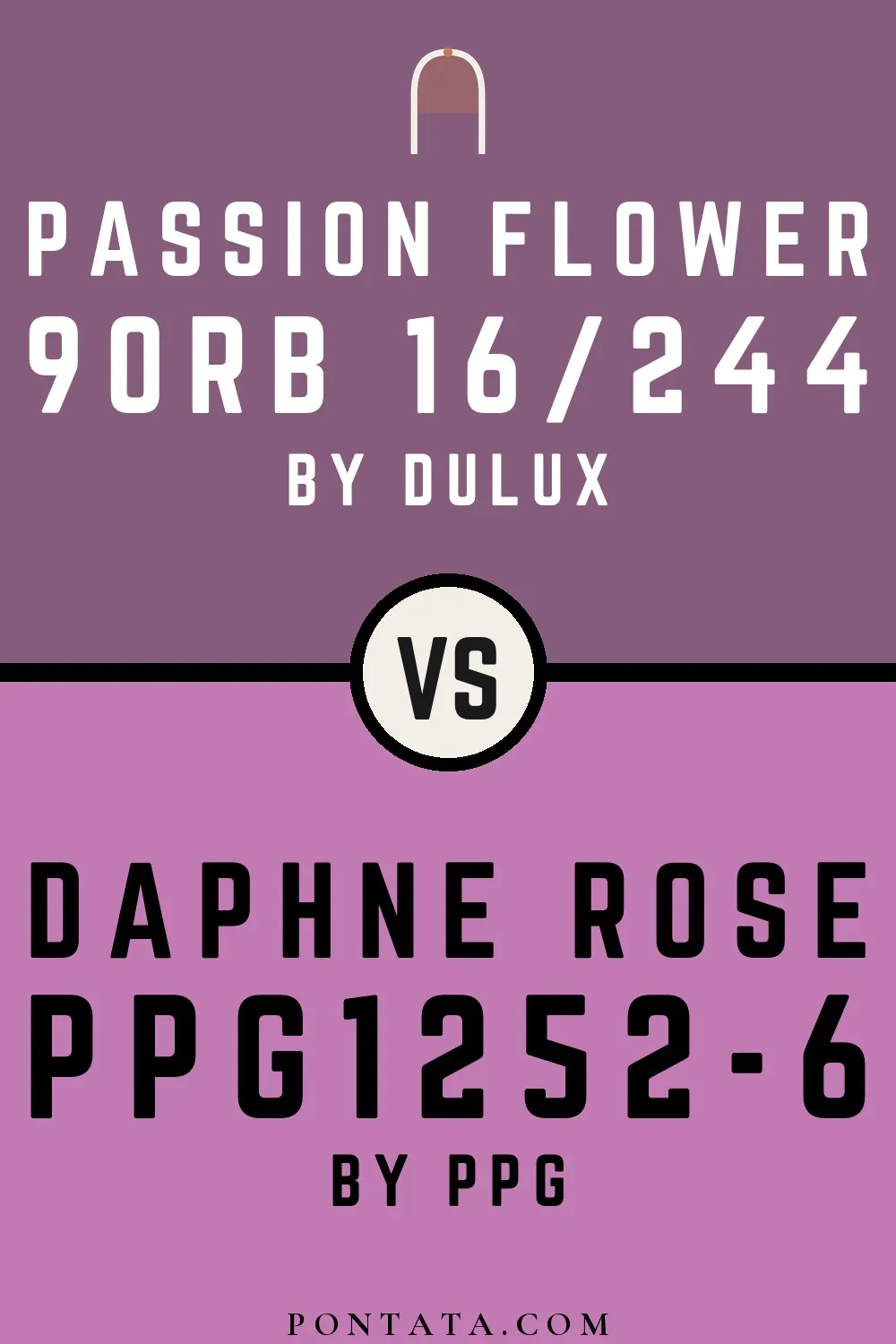 Passion Flower vs Daphne Rose