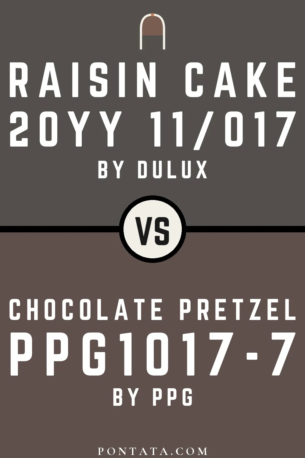 Raisin Cake vs Chocolate Pretzel