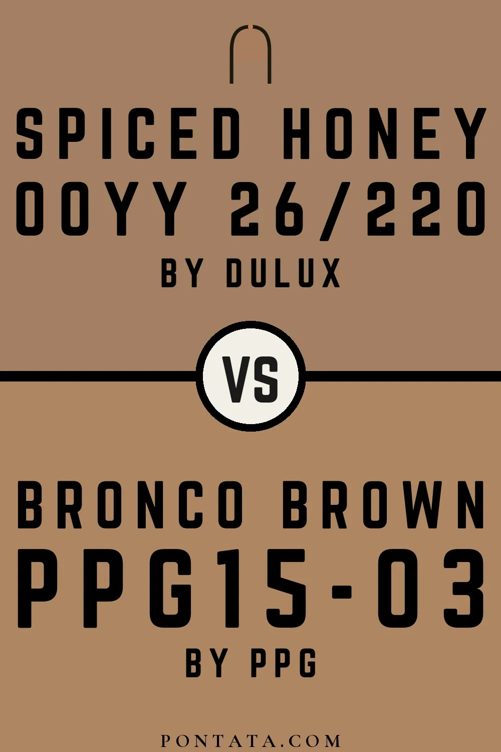 Spiced Honey vs Bronco Brown