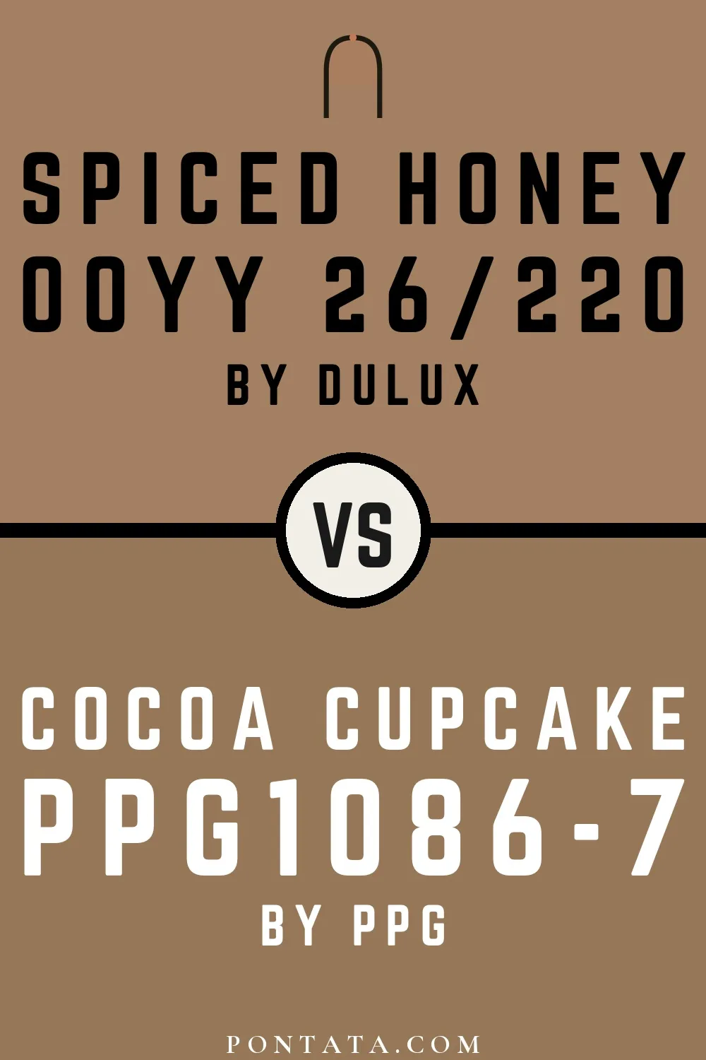 Spiced Honey vs Cocoa Cupcake