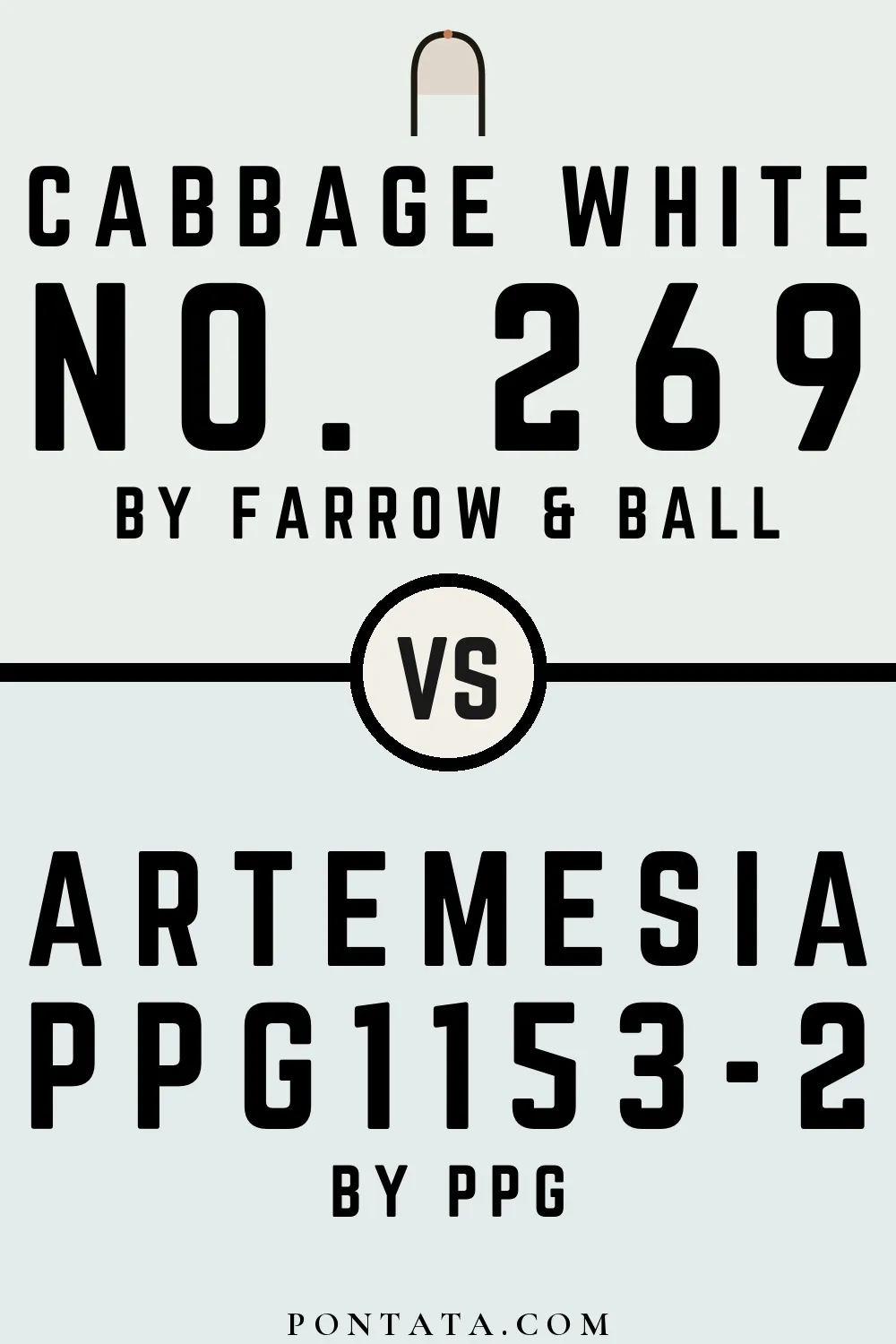 Cabbage White vs Artemesia