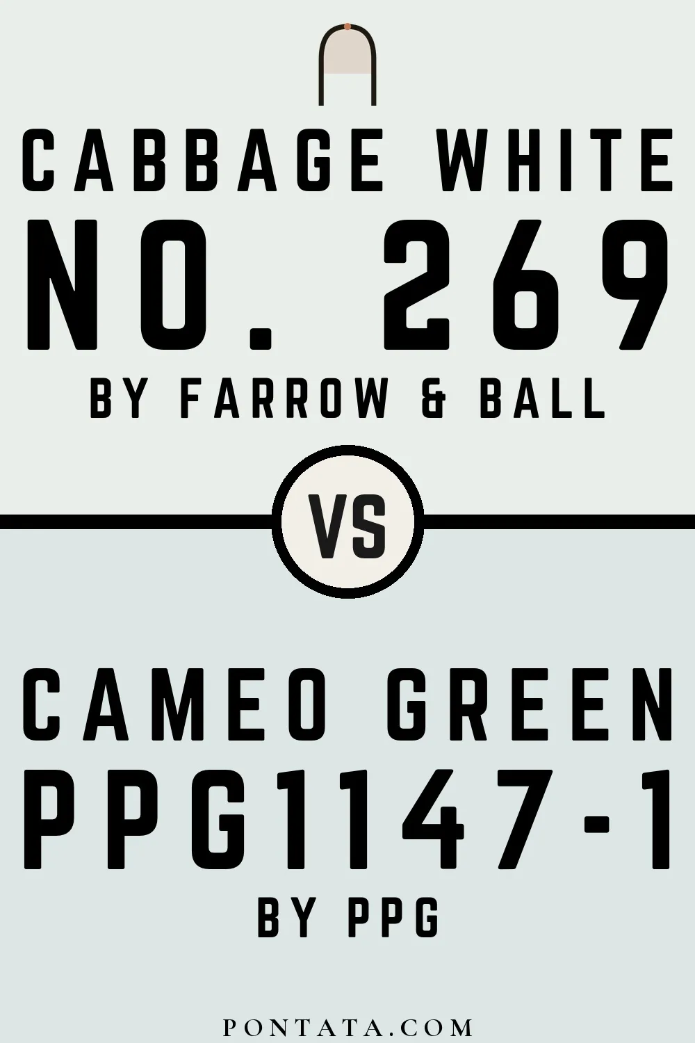 Cabbage White vs Cameo Green