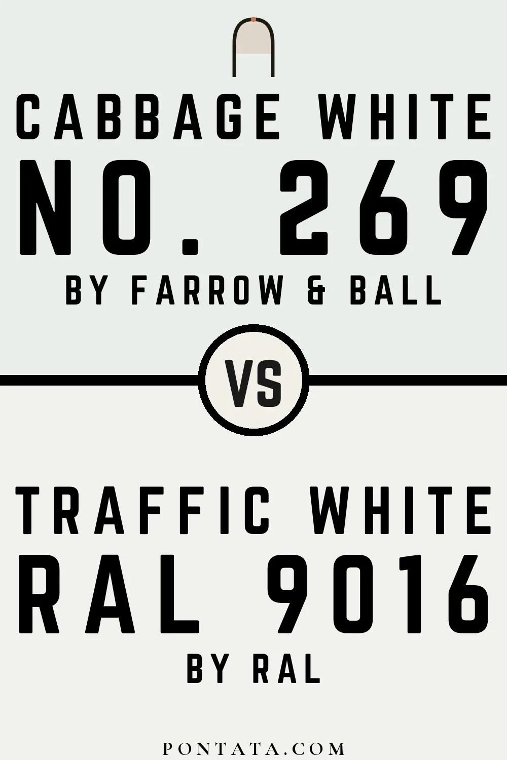 Cabbage White vs Traffic White