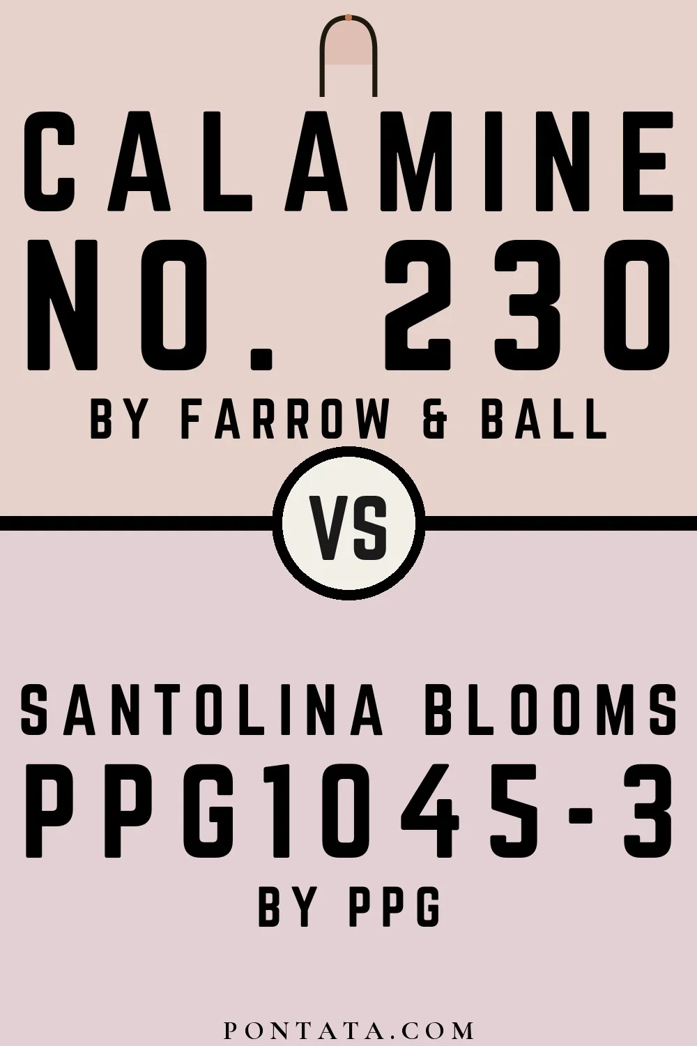 Calamine vs Santolina Blooms