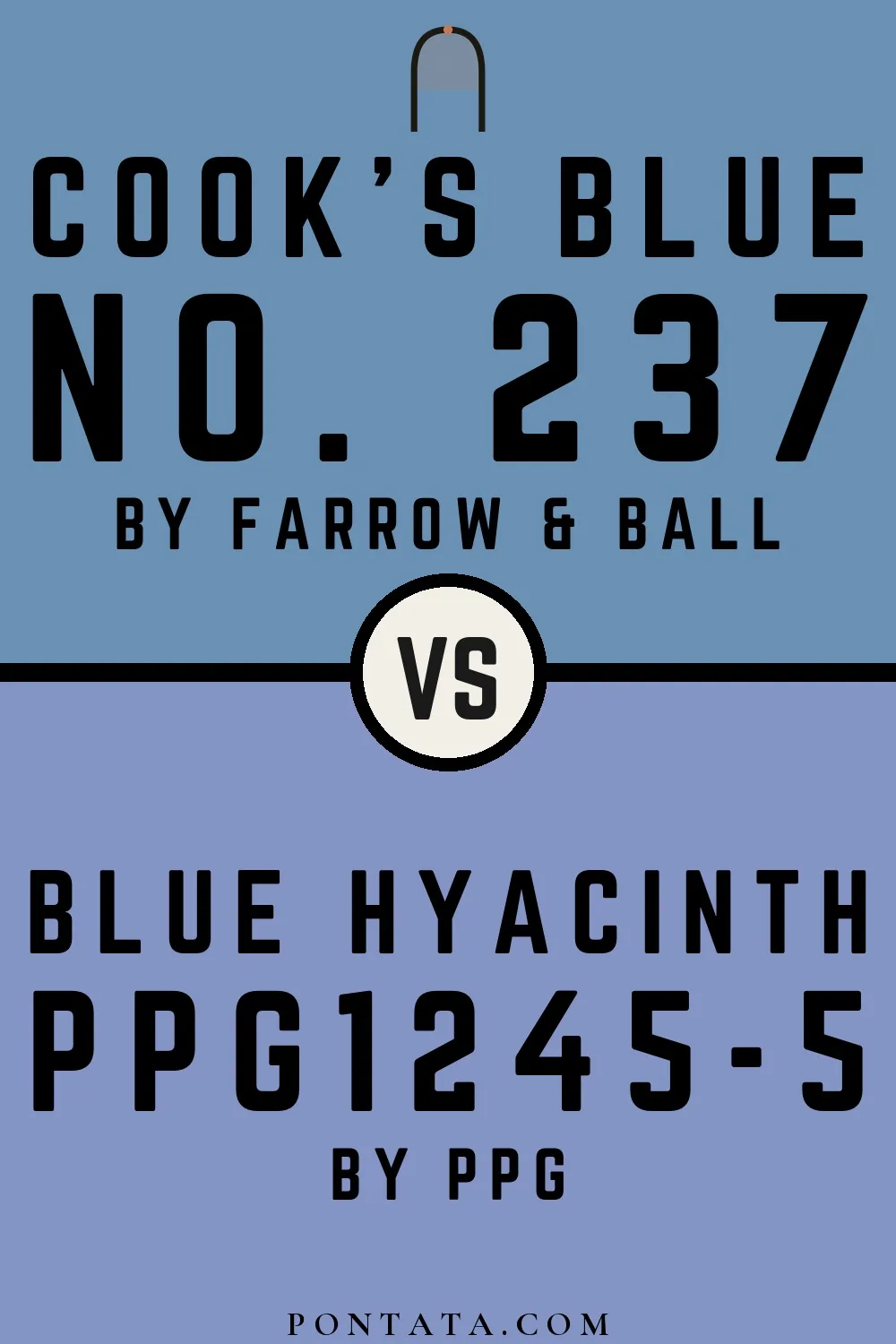 Cook's Blue vs Blue Hyacinth