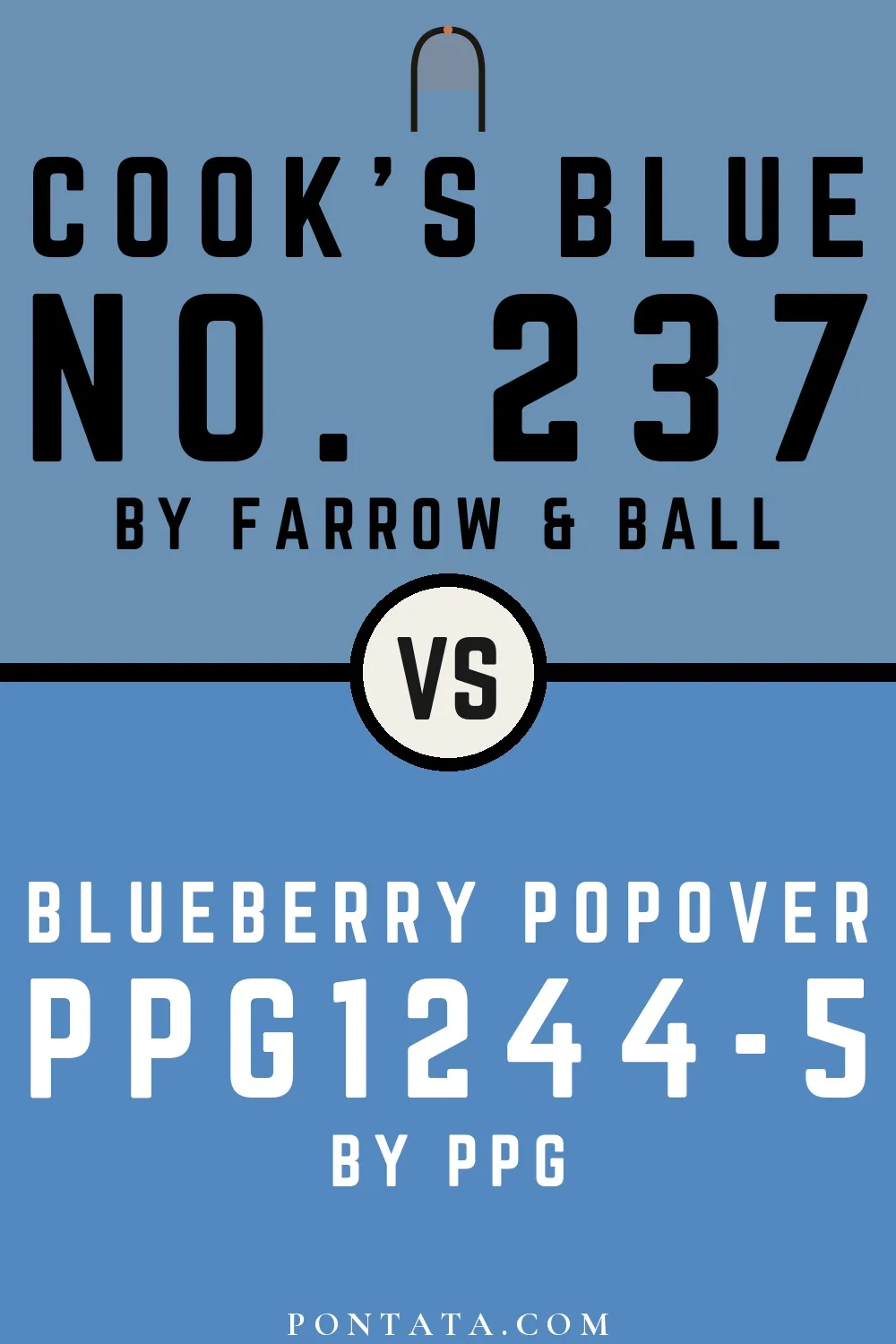 Cook's Blue vs Blueberry Popover