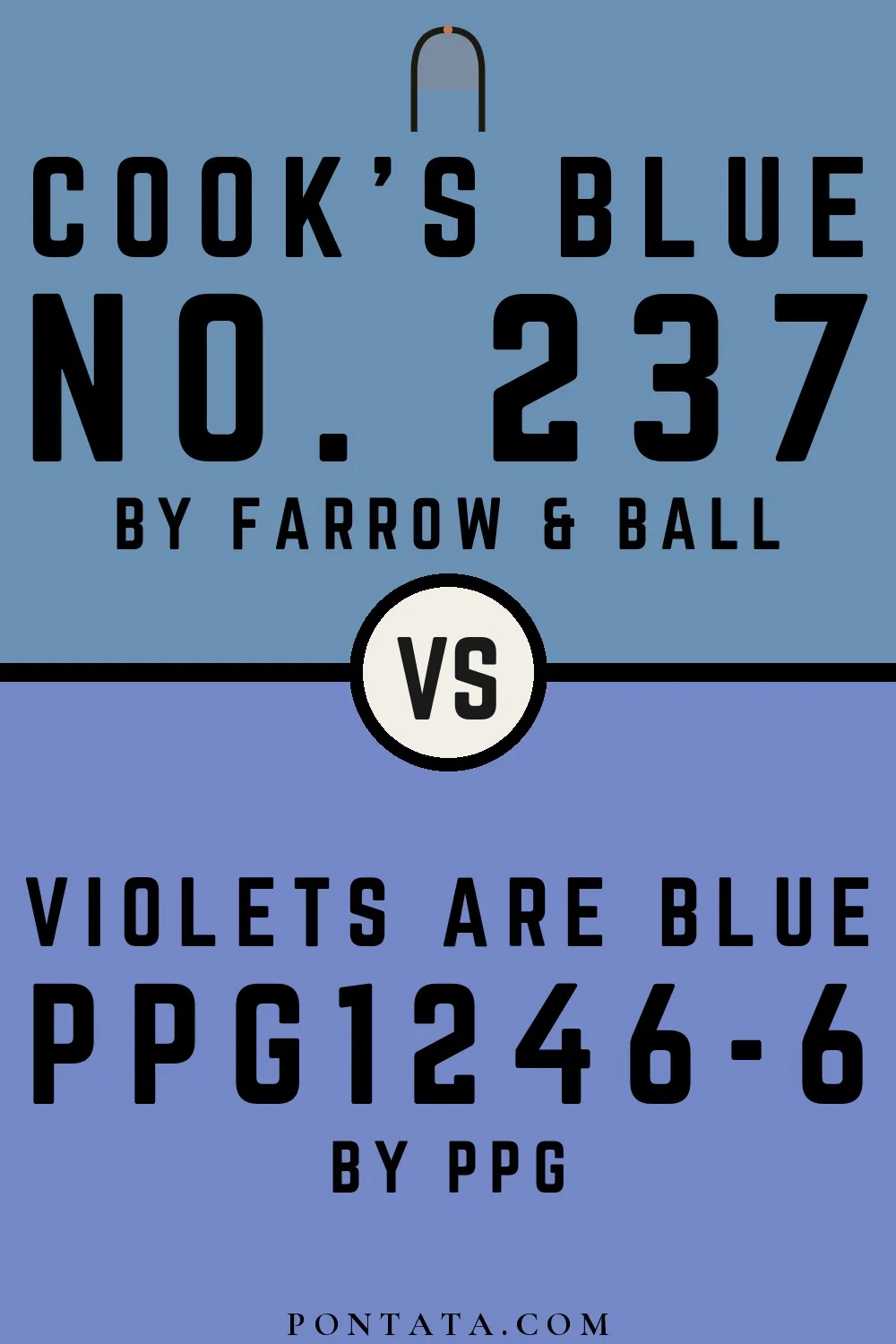 Cook's Blue vs Violets Are Blue