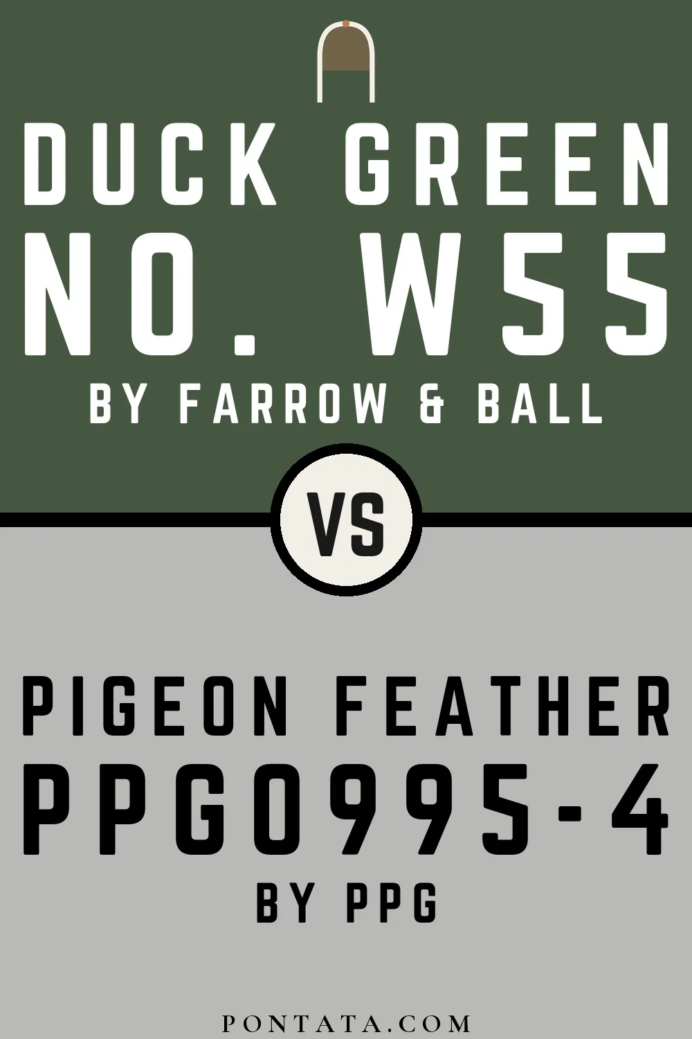 Duck Green vs Pigeon Feather