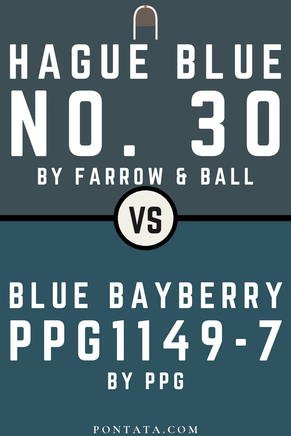 Hague Blue vs Blue Bayberry