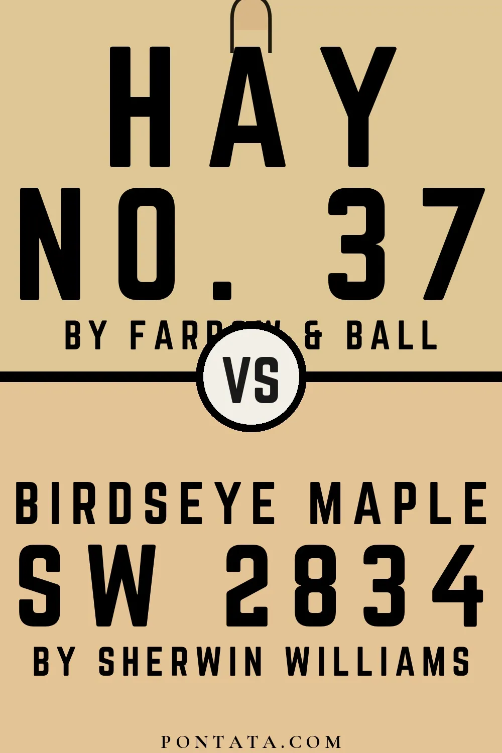 Hay vs Birdseye Maple