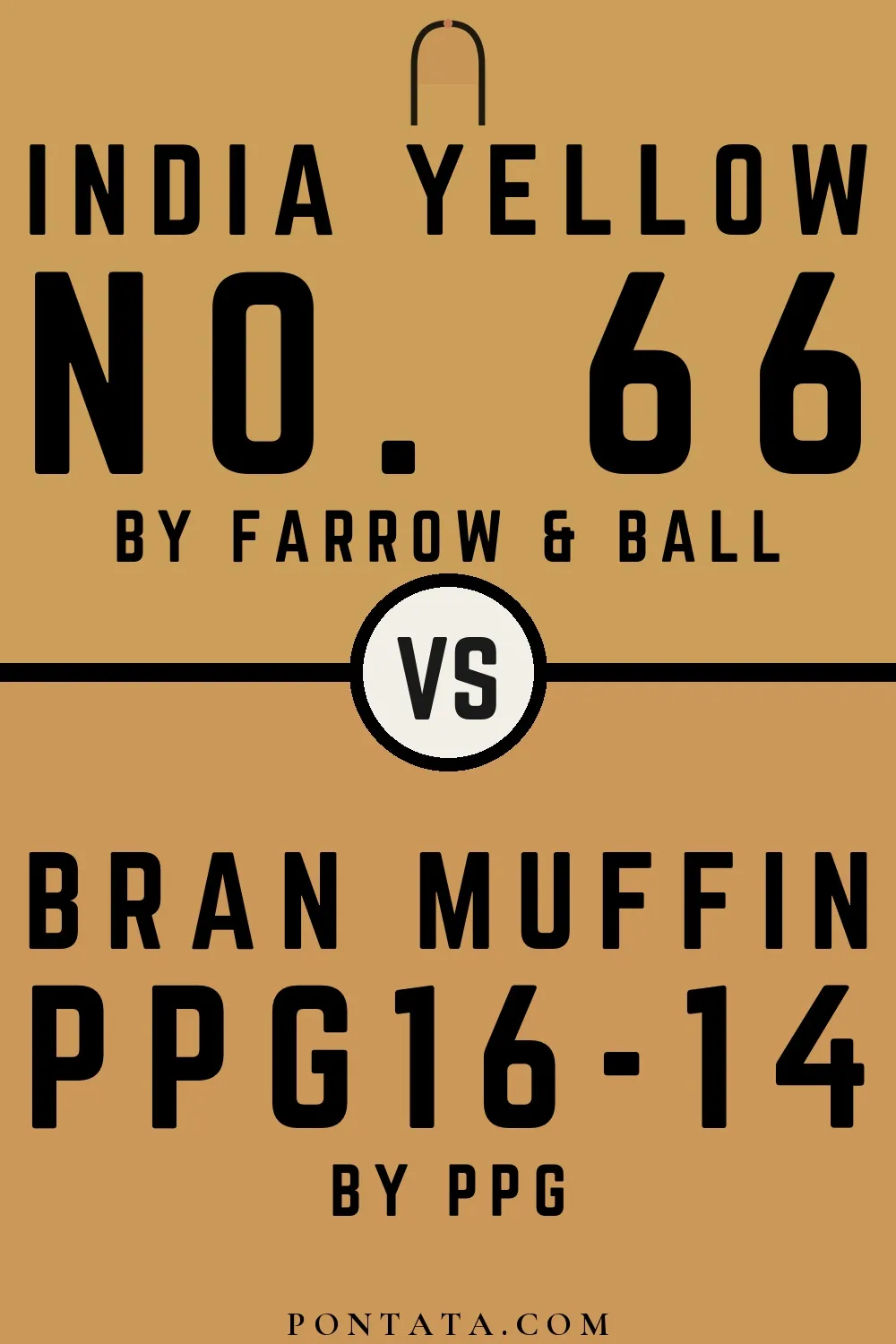 India Yellow vs Bran Muffin