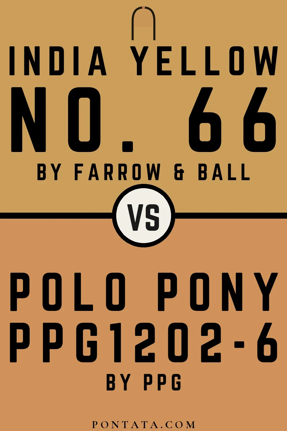 India Yellow vs Polo Pony