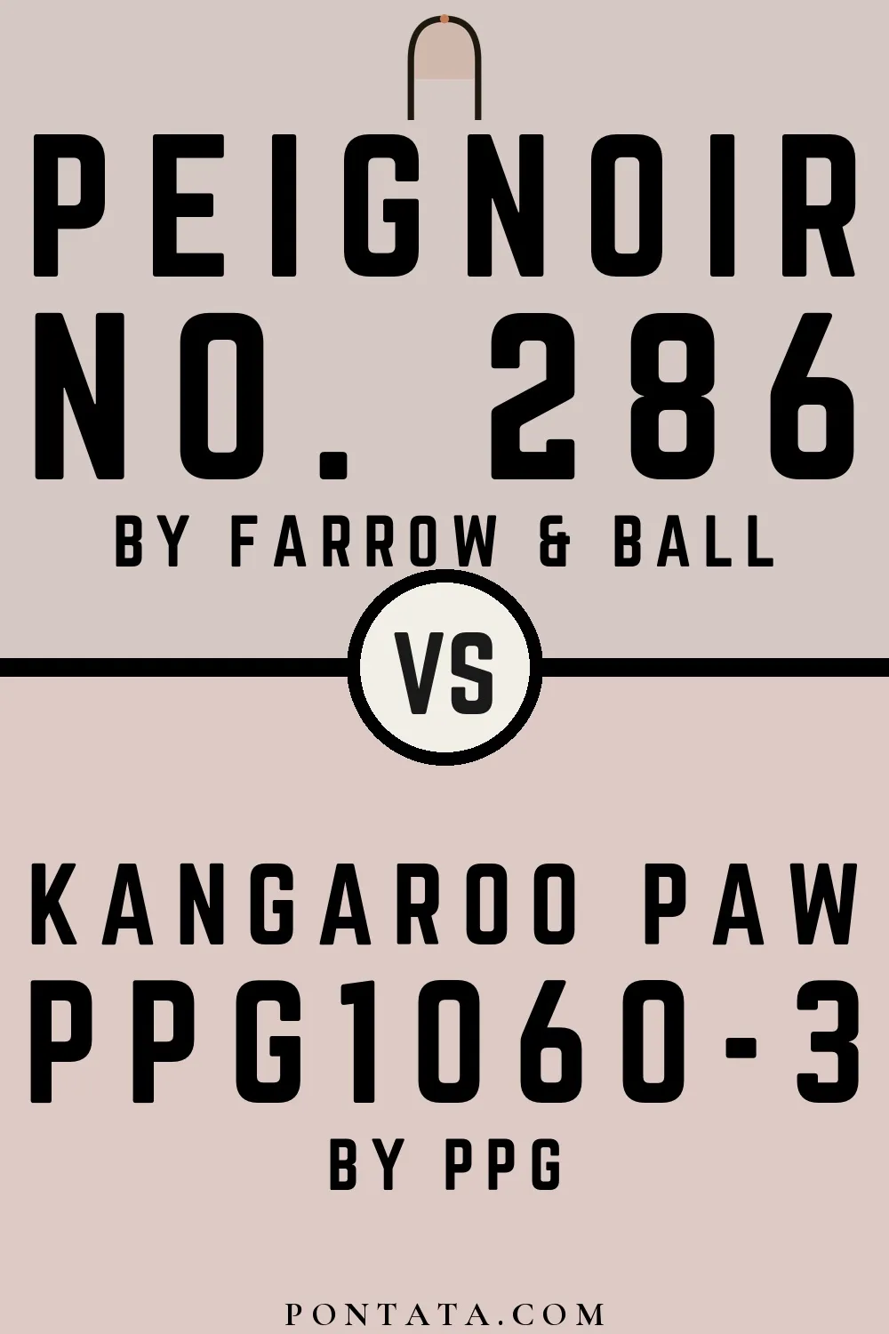Peignoir vs Kangaroo Paw