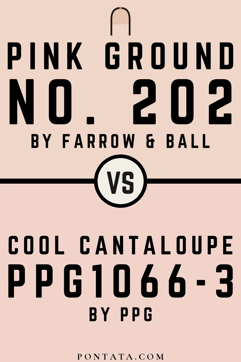 Pink Ground vs Cool Cantaloupe