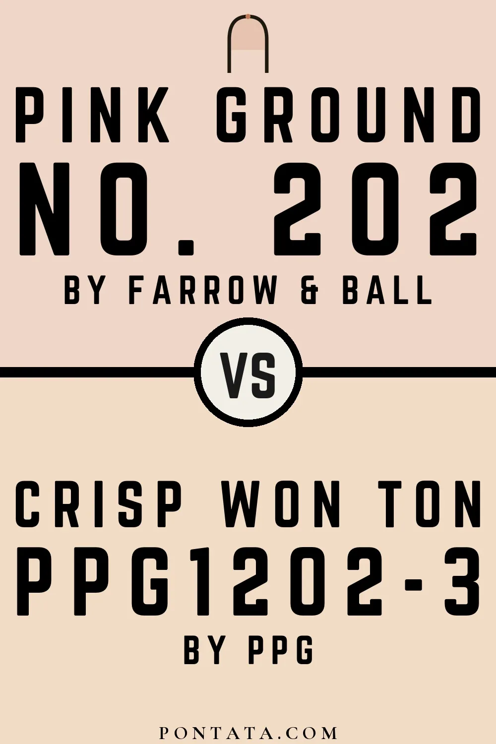 Pink Ground vs Crisp Won Ton