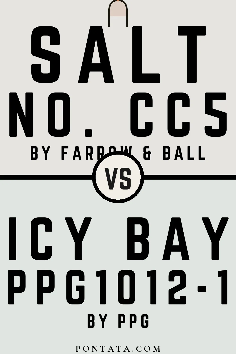 Salt vs Icy Bay