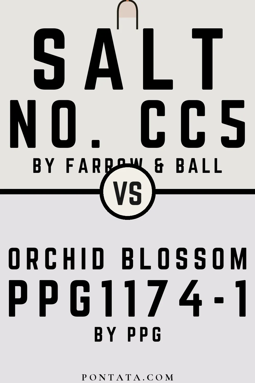 Salt vs Orchid Blossom