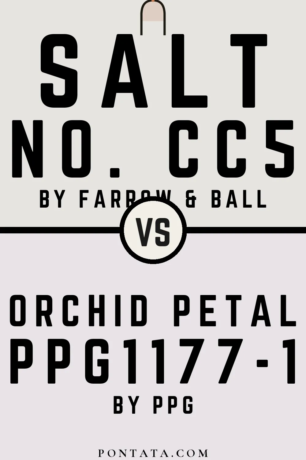 Salt vs Orchid Petal