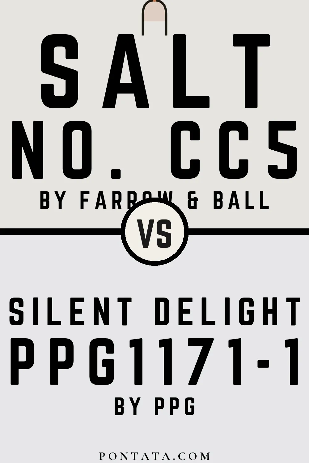 Salt vs Silent Delight