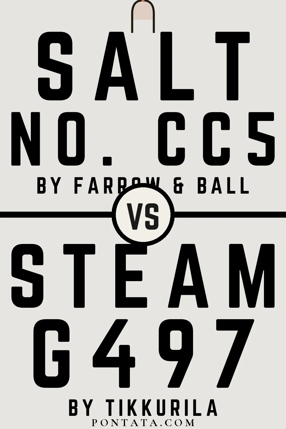 Salt vs Steam
