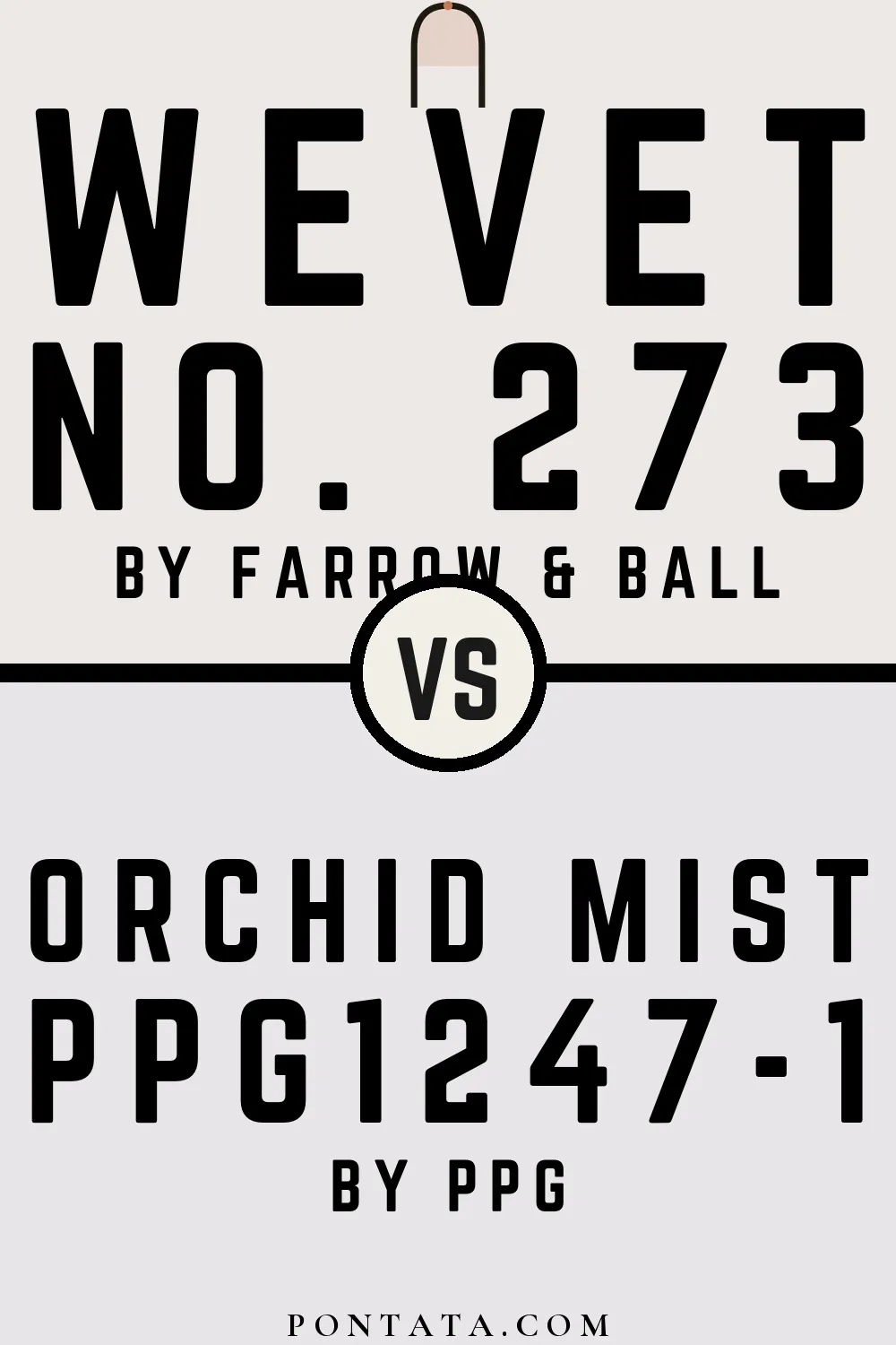 Wevet vs Orchid Mist