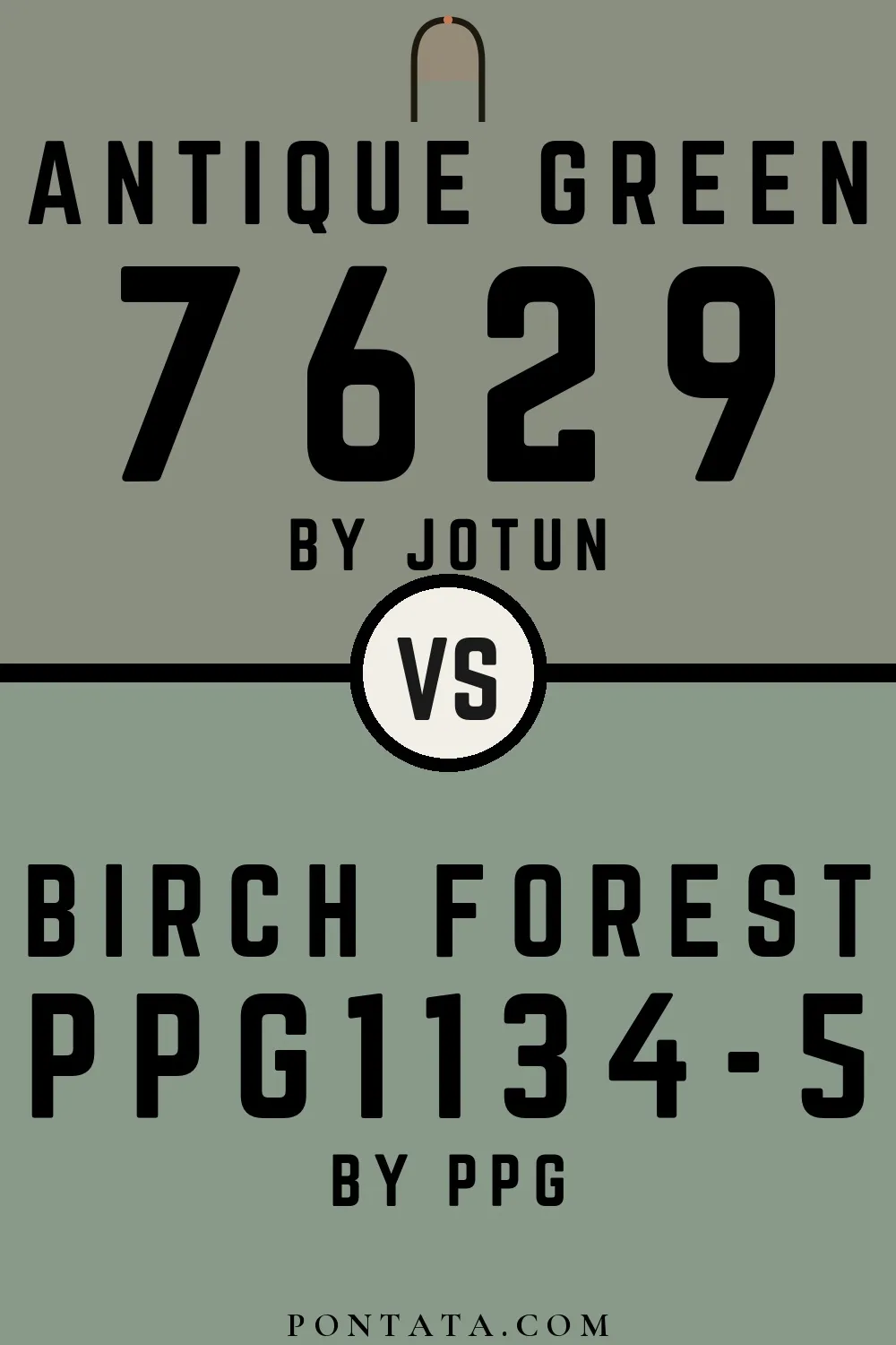 Antique Green vs Birch Forest