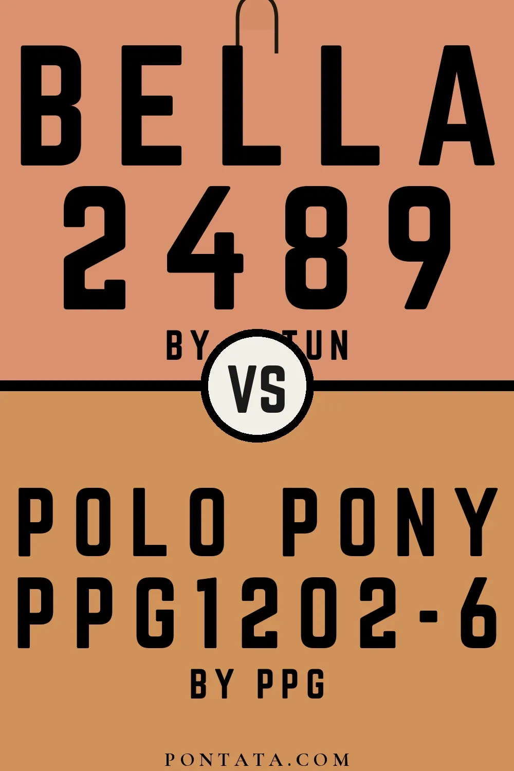 Bella vs Polo Pony