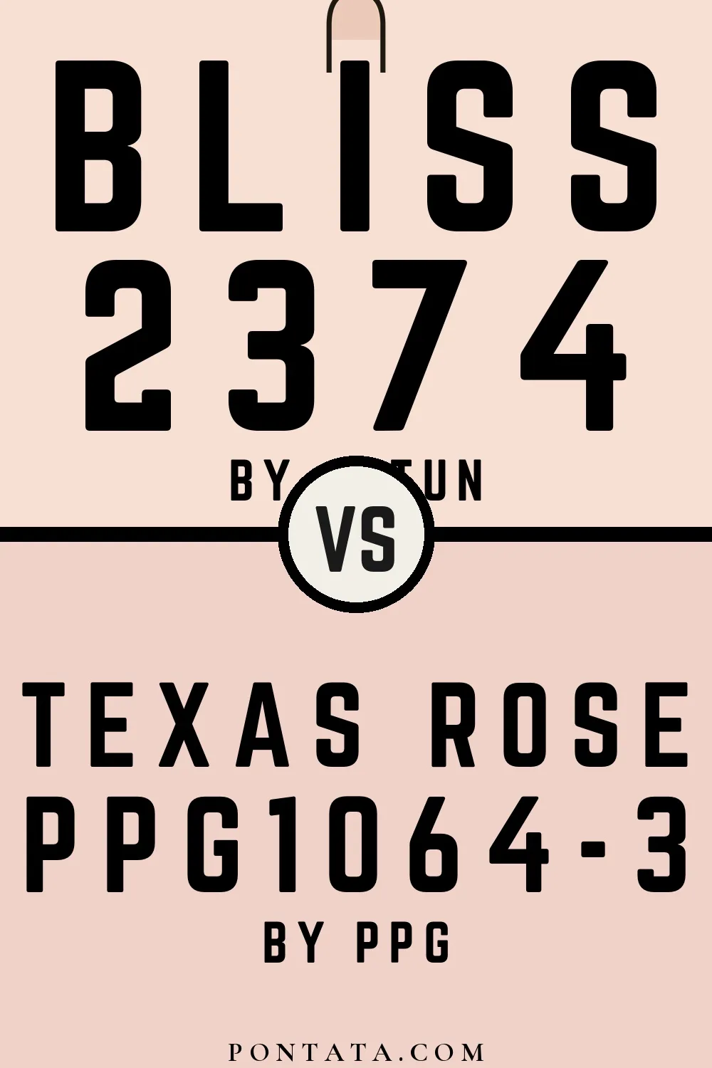 Bliss vs Texas Rose