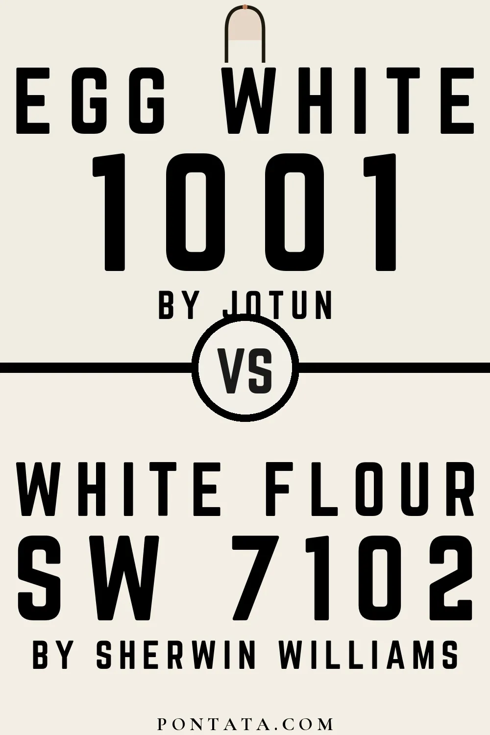 Egg White vs White Flour