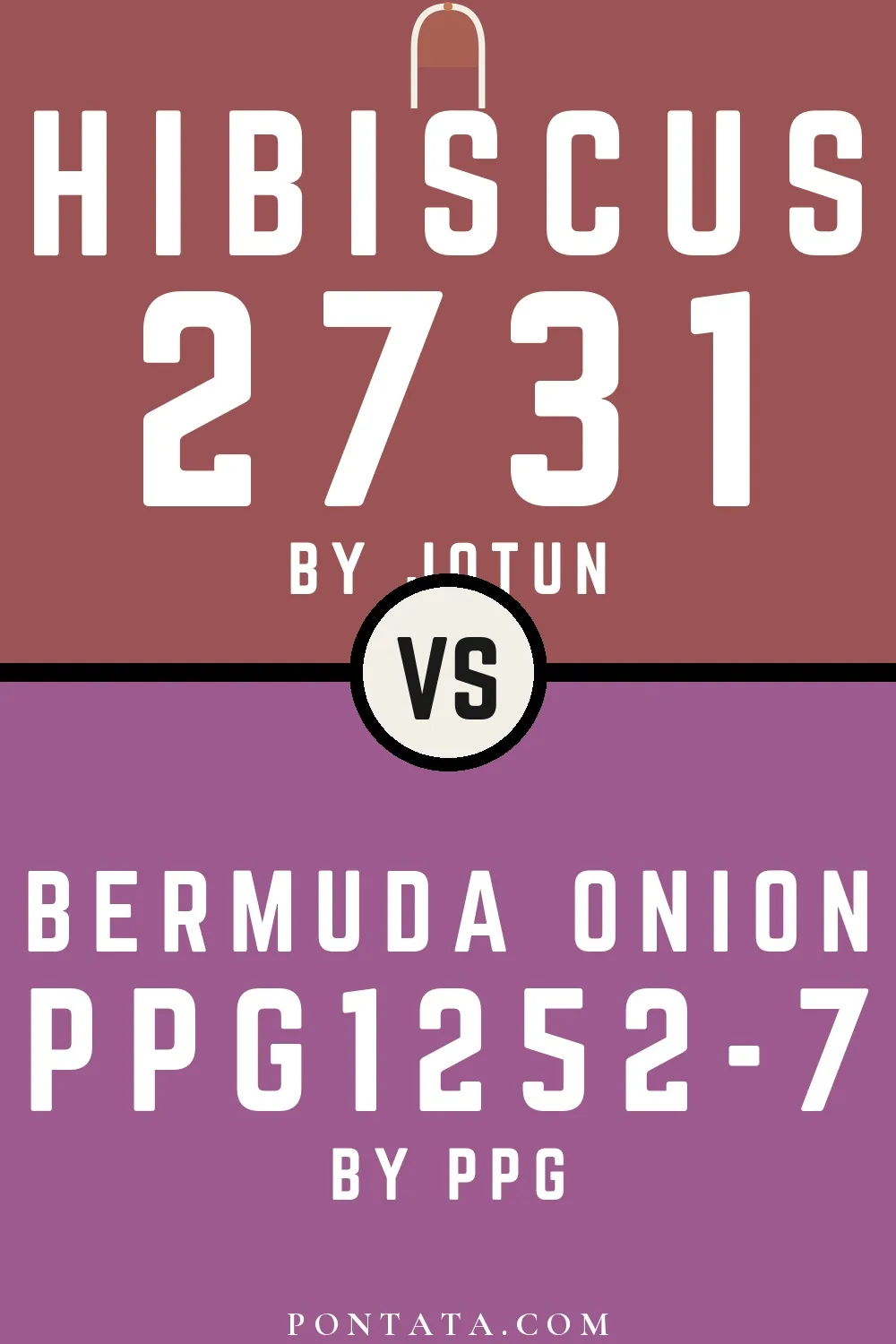 Hibiscus vs Bermuda Onion