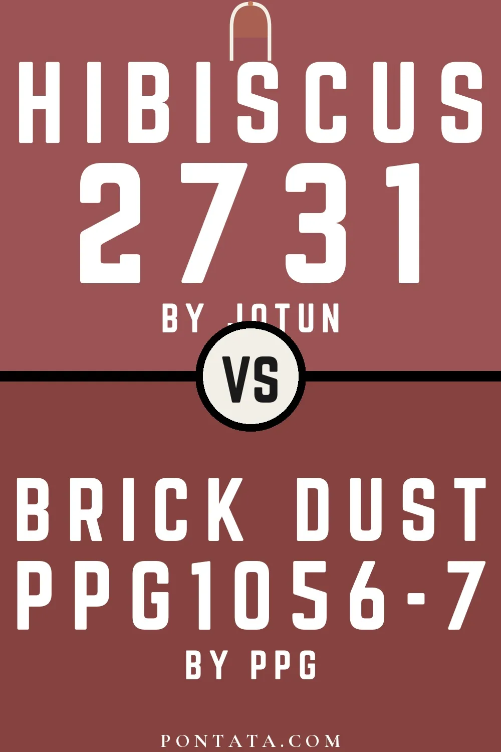 Hibiscus vs Brick Dust