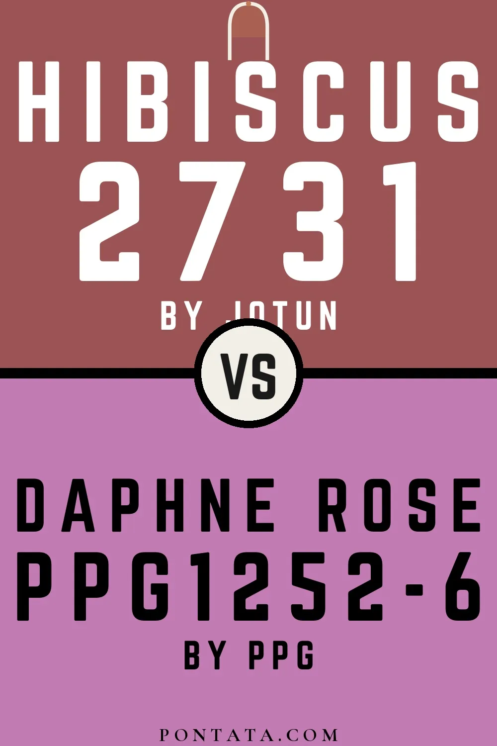 Hibiscus vs Daphne Rose