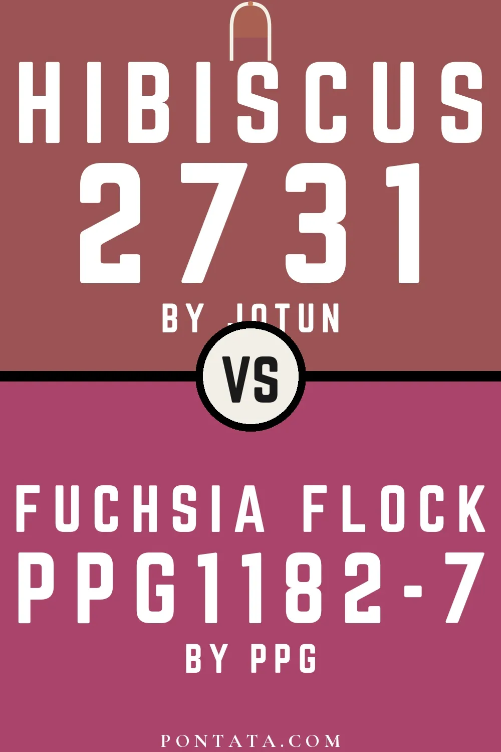 Hibiscus vs Fuchsia Flock